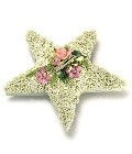 Star-shaped funeral tribute with white gypsophila base and pink focal flower.